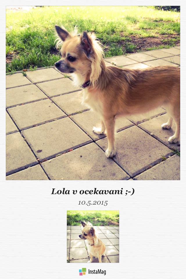 Lola